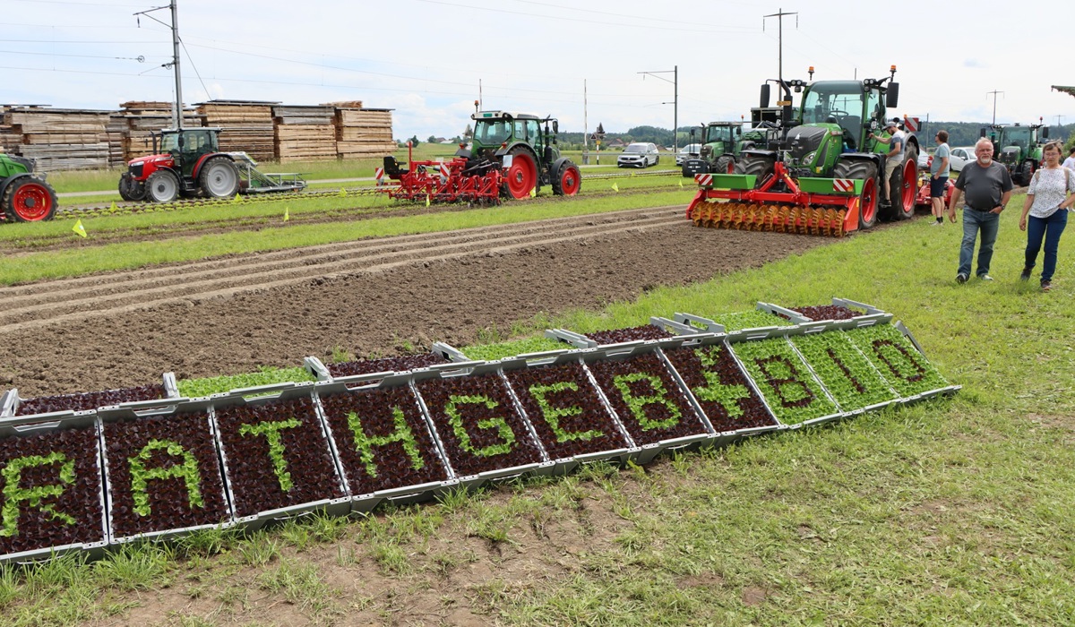 16_img_572217.jpg 16_img_572217.jpg