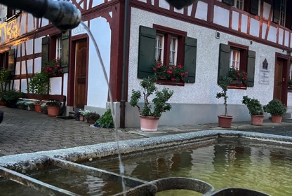 2306 7 Berg Am Irchel Brunnen Spa1