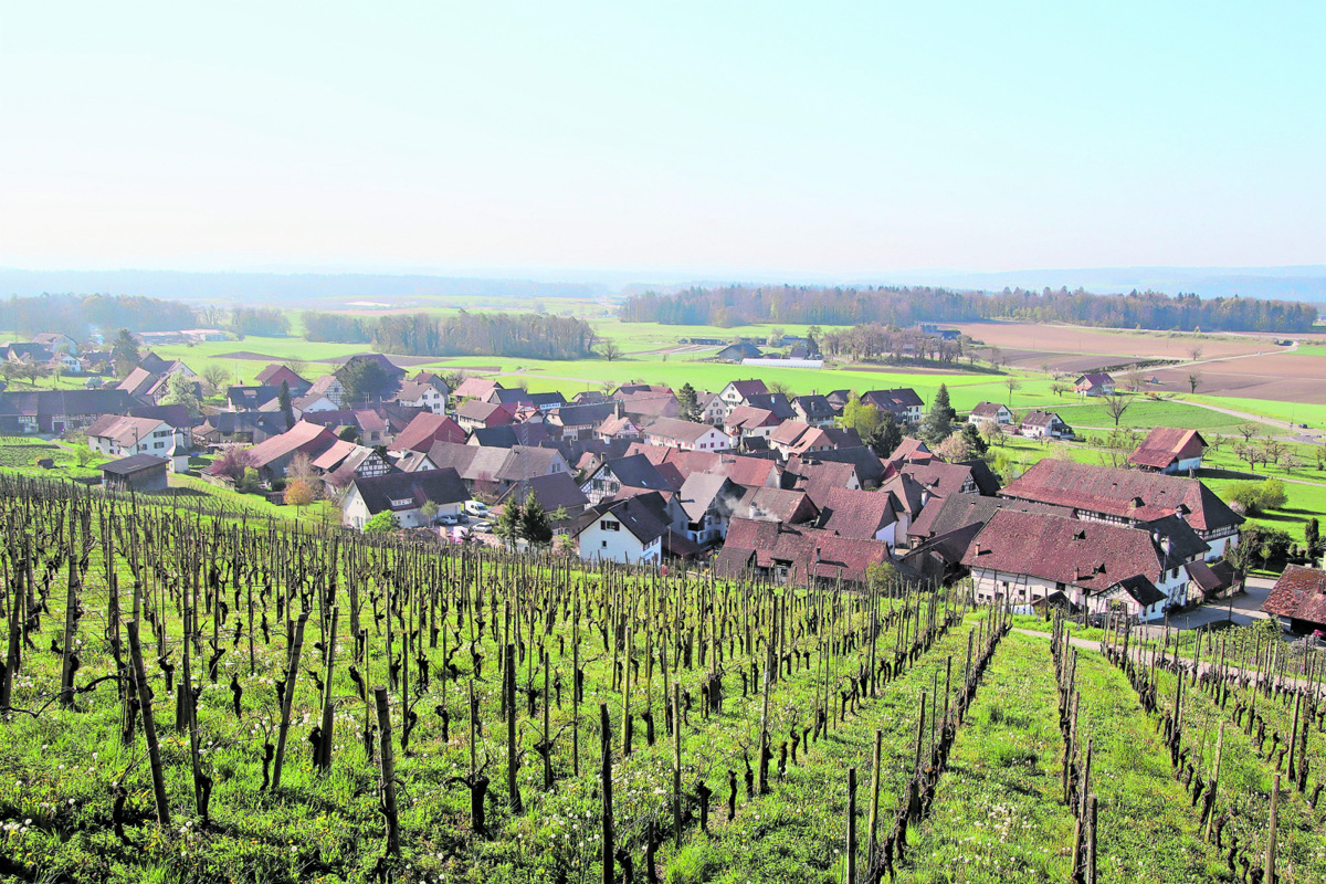 Für den Apéro am 24. September hofft die IG Rudolfingen auf viele Interessierte in ihrem Dorf.