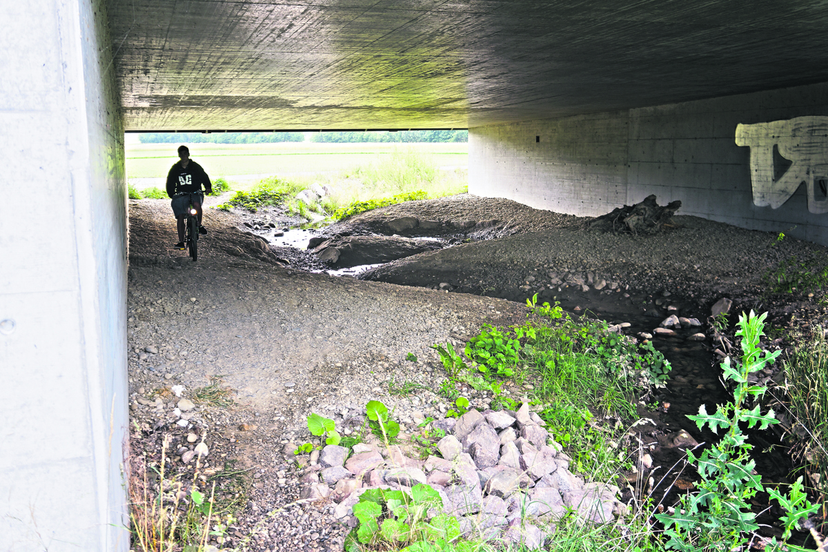 Seit dem Bau 2009 ist die Wildunterführung inoffiziell ein Radweg.