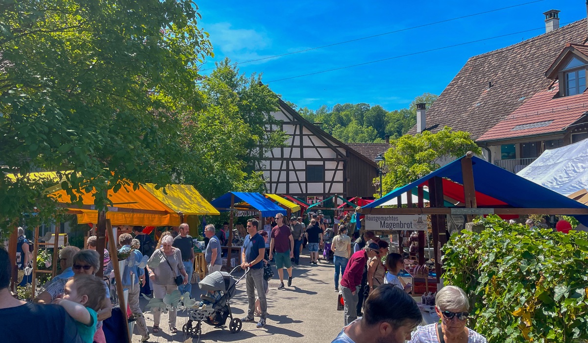 1405_1_fru-hlingsmarkt-kleinandelfingen_tz_zvg-75.jpg