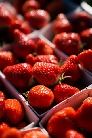 Bereits reif: Erdbeeren können auch selber gepflückt werden.