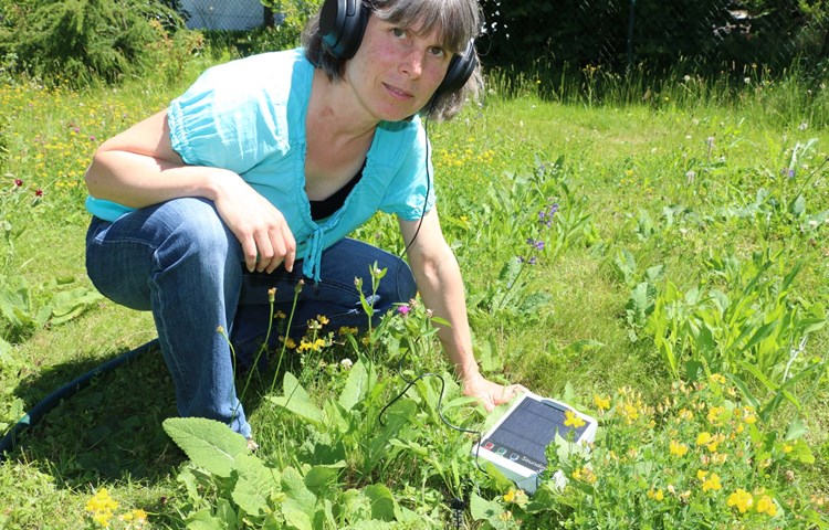 Marianne Bilger vom Naturnetz Stammertal hört, wie in der Erde etwas «chaflet».