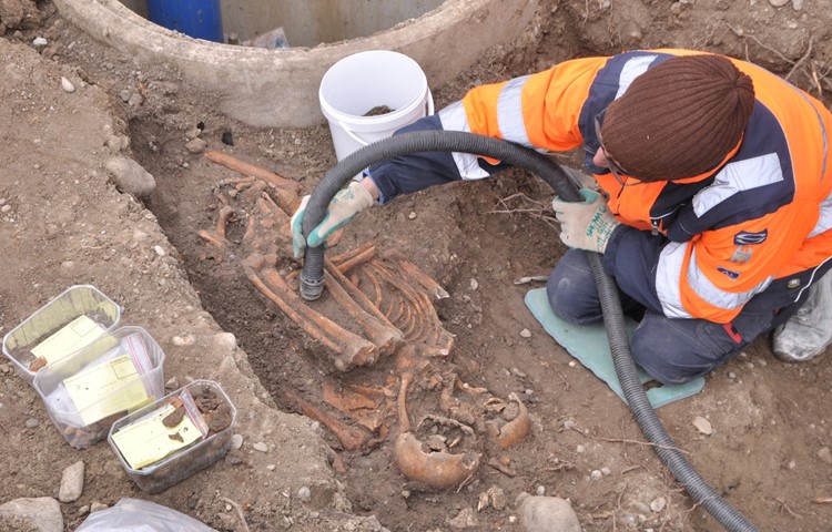 Eine Archäologin legt mit dem Staubsauger ein Skelett auf dem ausgegrabenen Laienfriedhof auf dem Klosterplatz frei.