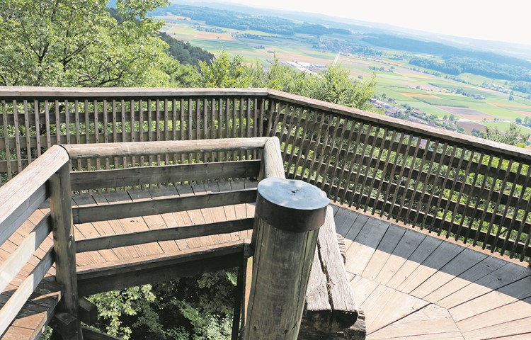 Der Aussichtsturm über Stammheim ist der wohl unbekannteste im Weinland.