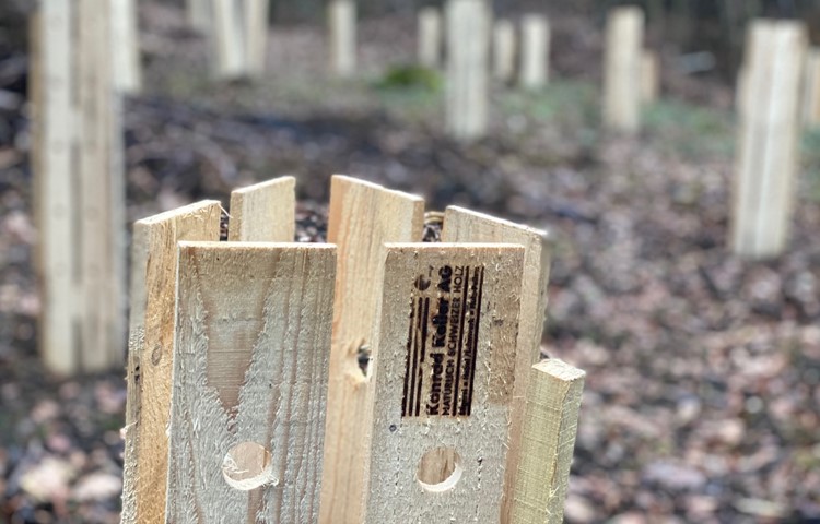 Kurze Wege, und die Wertschöpfung bleibt in der Region: Einzelschütze aus Käferholz.