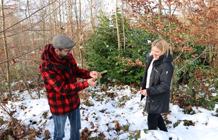 Forstingenieur Urs Kamm und Bianca Saladin, zuständig für die Betreuung und Beratung der Neophytenverantwortlichen der verschiedenen Gemeinden, entdecken immer häufiger immergrüne Neophyten.