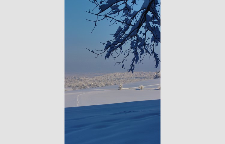 Bild 4: Schnee im Flaachtal, Blick von Buch am Irchel in Richtung Weinland.