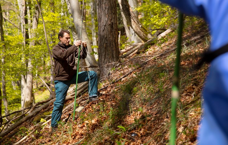 Seit 2010 leitet Gilberto Pasinelli ein Projekt über den gefährdeten Waldlaubsänger in den Jurahängen der Nordschweiz. Hier trifft er Vorbereitungen, um ein Männchen zu fangen und zu beringen.