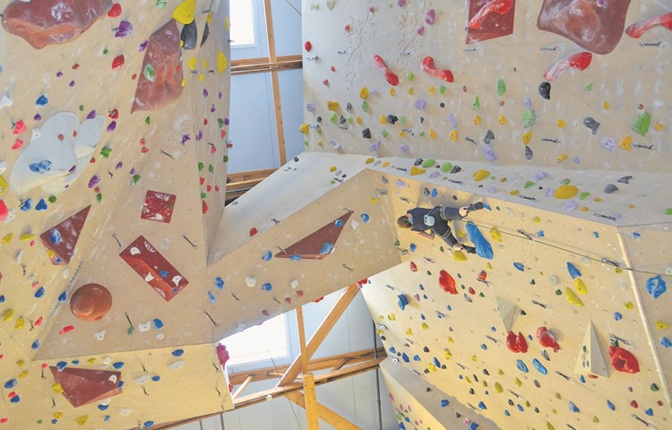 Unter der Woche trainiert Lisa Pfalzgraf in der Kletterhalle Aranea in Schaffhausen.