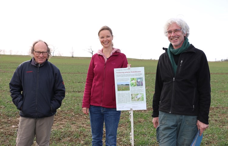 Die Landwirte Noldi Trachsler (l.) und Stefan Zäch mit Projektbegleiterin Nina Lohri auf dem Projektacker.