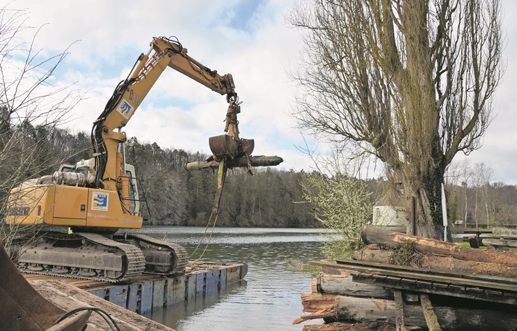 Im April ist der alte, hölzerne Bootssteg an der Rheingasse abgerissen worden. Die alten Pfosten waren teilweise durchgefault.