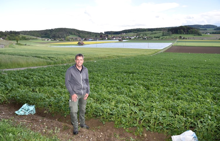 Martin Roth vor seinen Feldern – das vordere Kartoffelfeld ist bereits abgedeckt, hinten sind zwei weitere gedeckte zu sehen.