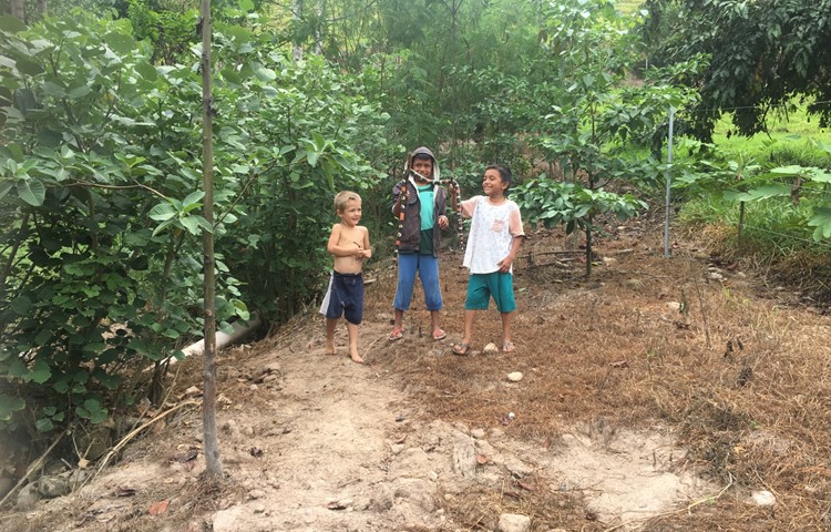 Leben in Peru: Benjamin (links) spielt mit Freunden und einer Schlange, welche sie im Garten gefunden haben.