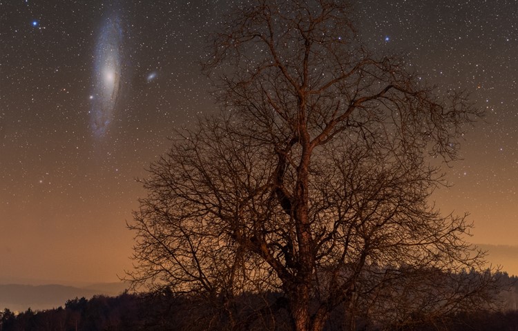 Die Andromeda-Galaxie.