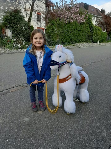 Hauptsache Rössli: Die pferdevernarrte Tochter der Schreibenden mit ihren liebsten Spielzeugen …