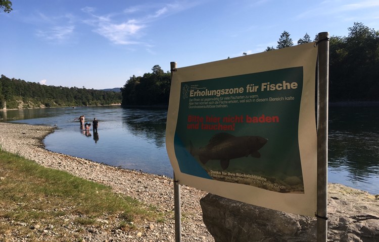 Im August 2021 wurde die Chuetränki zwar nicht gesperrt, Badende wurden aber gebeten, an dieser Stelle nicht in den Rhein zu gehen.