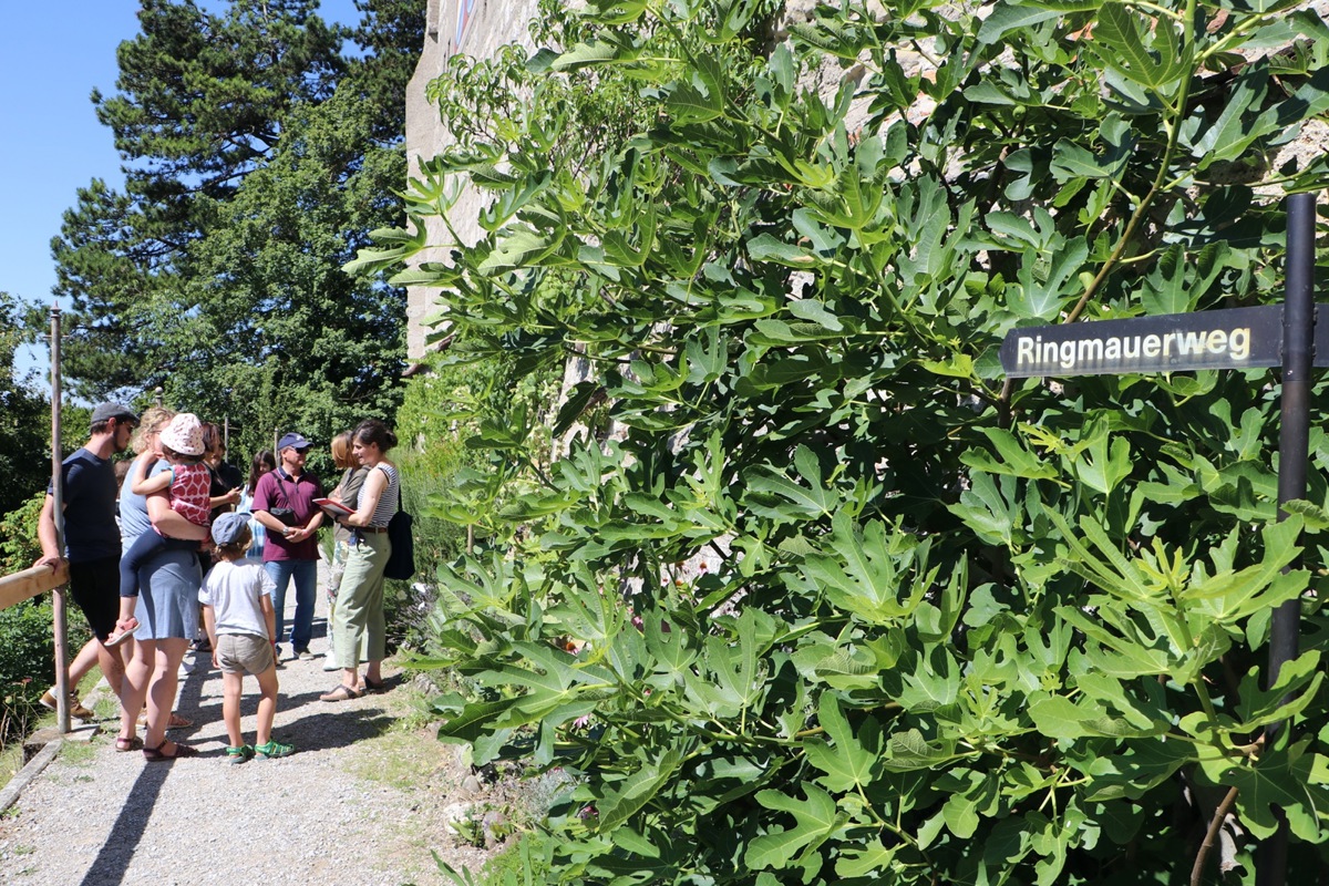 Ursina Largiadèr (r.) führte durch die Burganlage und erzählte von den kleinsten Bewohnern des Anwesens.