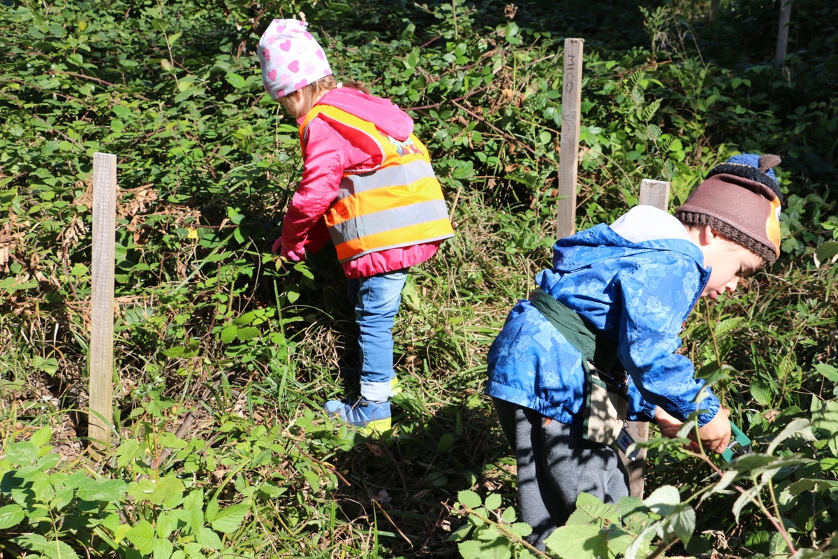 Der Kampf gegen die Brombeerranken war anstrengend. Der Kampf gegen die Brombeerranken war anstrengend.