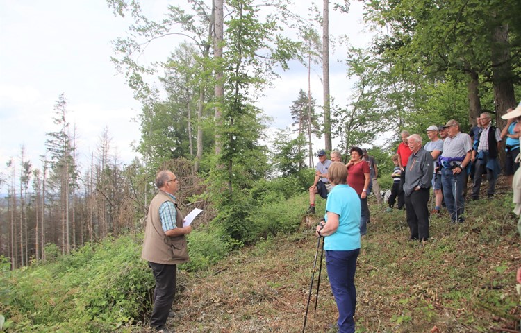 Förster Hans Beereuter (links) führte die interessierte Bevölkerung durch den Wald und zeigte unter anderem auf, wie mit den neu entstandenen Kahlflächen umgegangen wird.