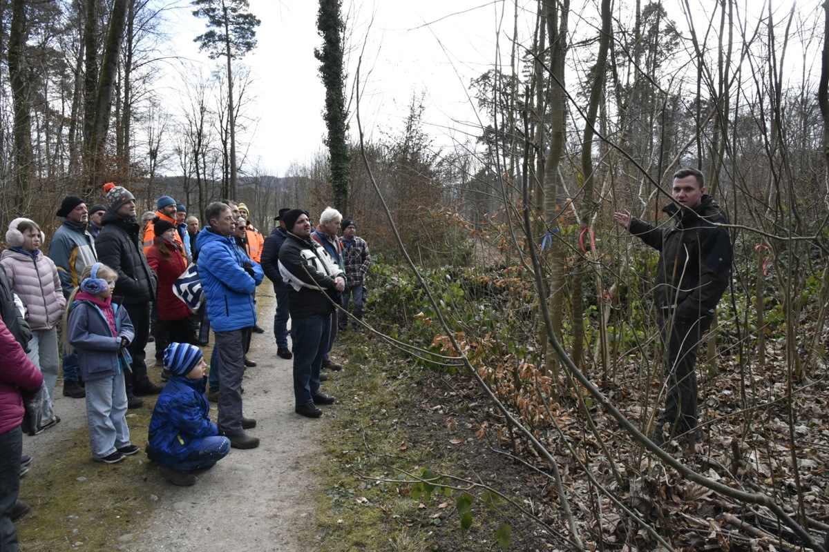 Der neue Revierförster Alex Brander zeigte auf, wie der Jungwald gepflegt wird: Blau markierte Bäumchen bleiben stehen, rot markierte werden abgesägt, um den gerade wachsenden Platz zu machen.