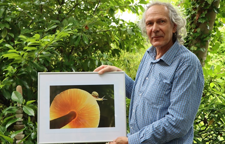 Mit «Unterwegs» gewann Christian Koradi 2019 den Wettbewerb des Fotomagazins «d-pixx». In Wahrheit ist diese Schnecke nie über diesen Pilz gekrochen.