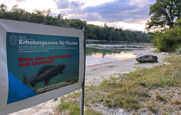 Eine Blache weist auf die kritische Si­tua­tion für Fische hin, der Zugang zum Rhein bei der Chuetränki ist gesperrt.