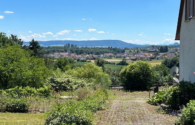 Blick von Altenburg nach Rheinau, im Hintergrund der Irchel.