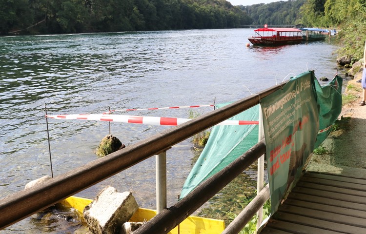 Zwischen Rheinfall und Nohlbrücke ist eine Erholungszone für Fische markiert, wo Äschen kühleres Wasser finden.