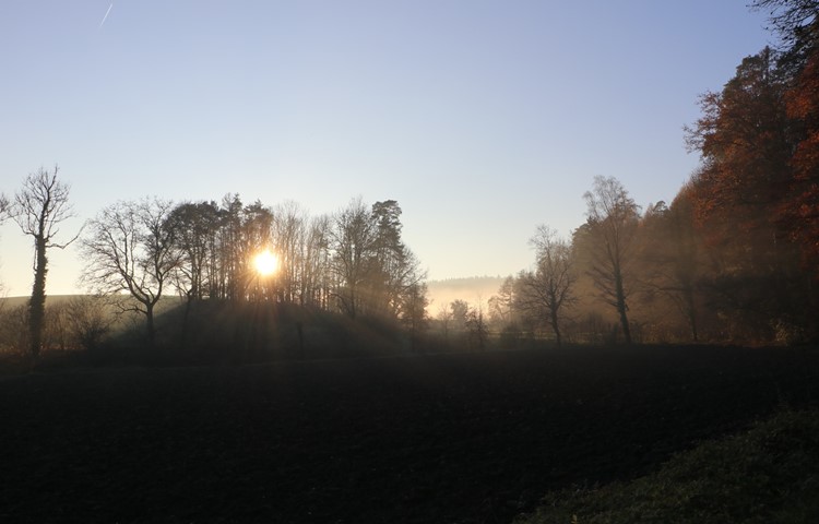 Der blaue Himmel liegt auch im Herbst ganz nah: Im Nachbarort Aesch zeigte sich die Sonne, während der Novembernebel bis und mit Henggart dominierte.