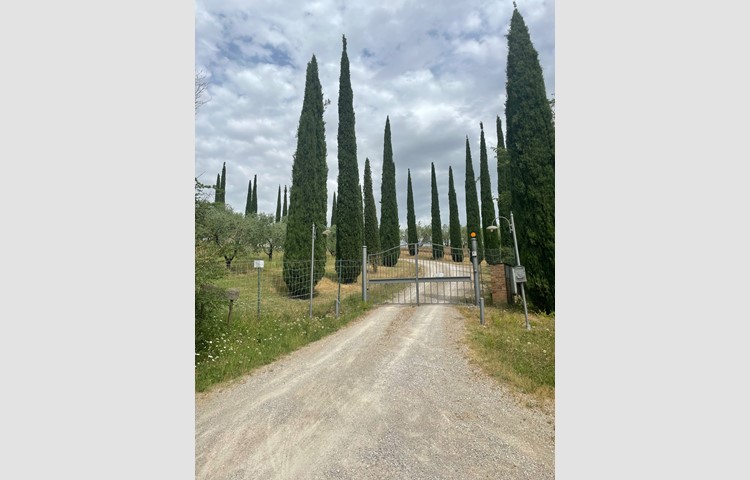Die Zufahrt eines Weinguts in der Toscana.