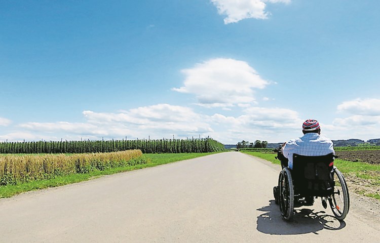 Dank einem hindernisfreien Wanderweg sind im Stammertal Rollstuhlwanderungen möglich.