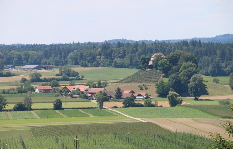 Die Kleinsiedlung Girsberg mit Schloss in Stammheim soll laut Plänen des Kantons als neue Weilerzone kategorisiert werden.