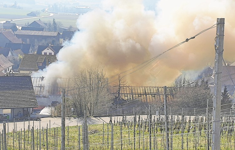 Der Brand in Oberstammheim im März 2022 führte bei der Kantonalen Gebäudeversicherung zum fünfthöchsten Schadensbetrag infolge Feuers.