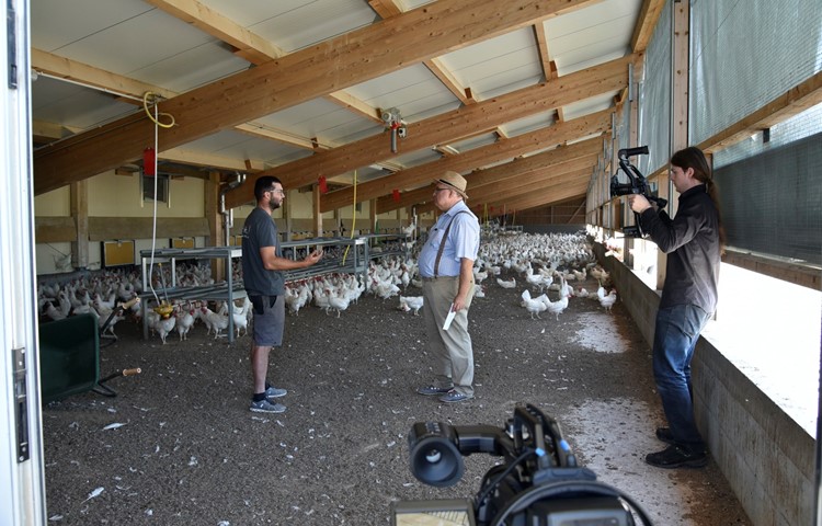 Joel Reisinger (rechts) filmt das Gespräch von Thomas Burkhalter (Mitte) mit Landwirt und Hühnerhalter Lukas Holderegger.