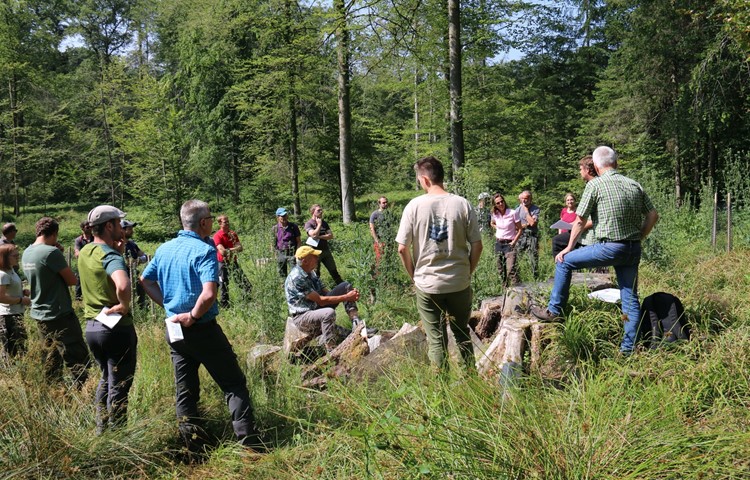 Die Forstleute diskutierten in der Runde, wie die Wälder gepflegt werden sollen.