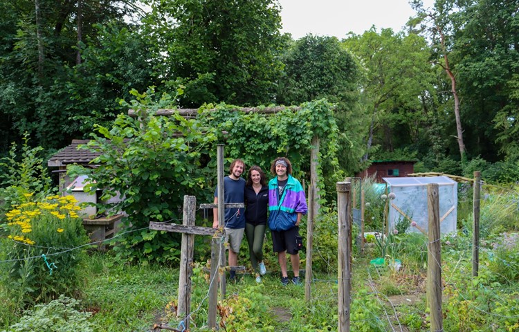 Rick Odermatt, Jeanette Spross und Lenny Spross (v.l.n.r.) fördern auf ihrer Parzelle in Dachsen die Biodiversität und probieren auch mal Neues aus.