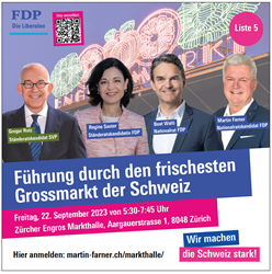 FDP verteidigt ihr Vorgehen bei Ersatzwahl am Gericht
