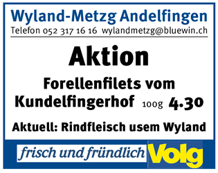 www.andelfinger.ch