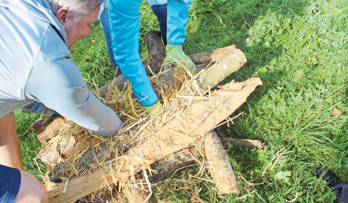 1010_1_nistpla-tze-im-inneren-der-wieselburgen_wwf-zh.jpg 1010_1_nistpla-tze-im-inneren-der-wieselburgen_wwf-zh.jpg