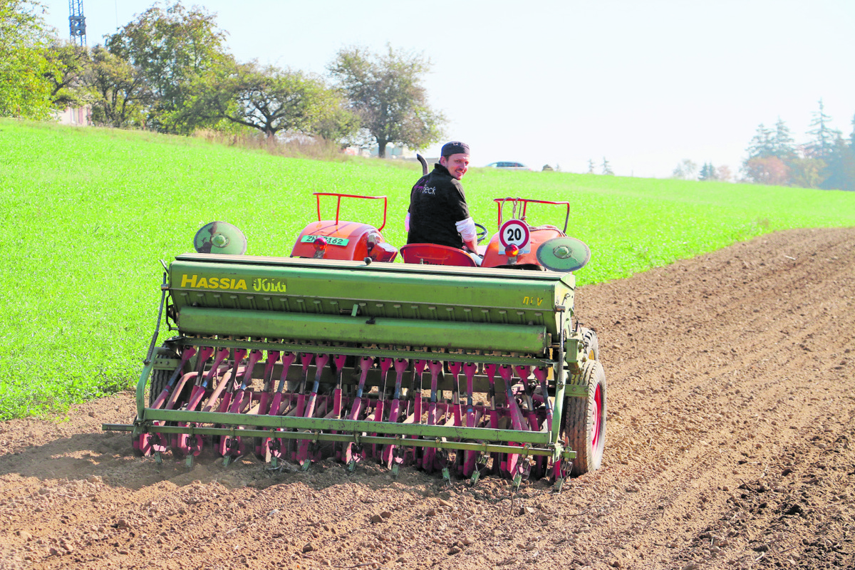 Wenn Wyland-Beck Roman Schär auf seinem kleinen Traktor sitzt und sein Dinkel-Saatgut verteilt Wenn Wyland-Beck Roman Schär auf seinem kleinen Traktor sitzt und sein Dinkel-Saatgut verteilt