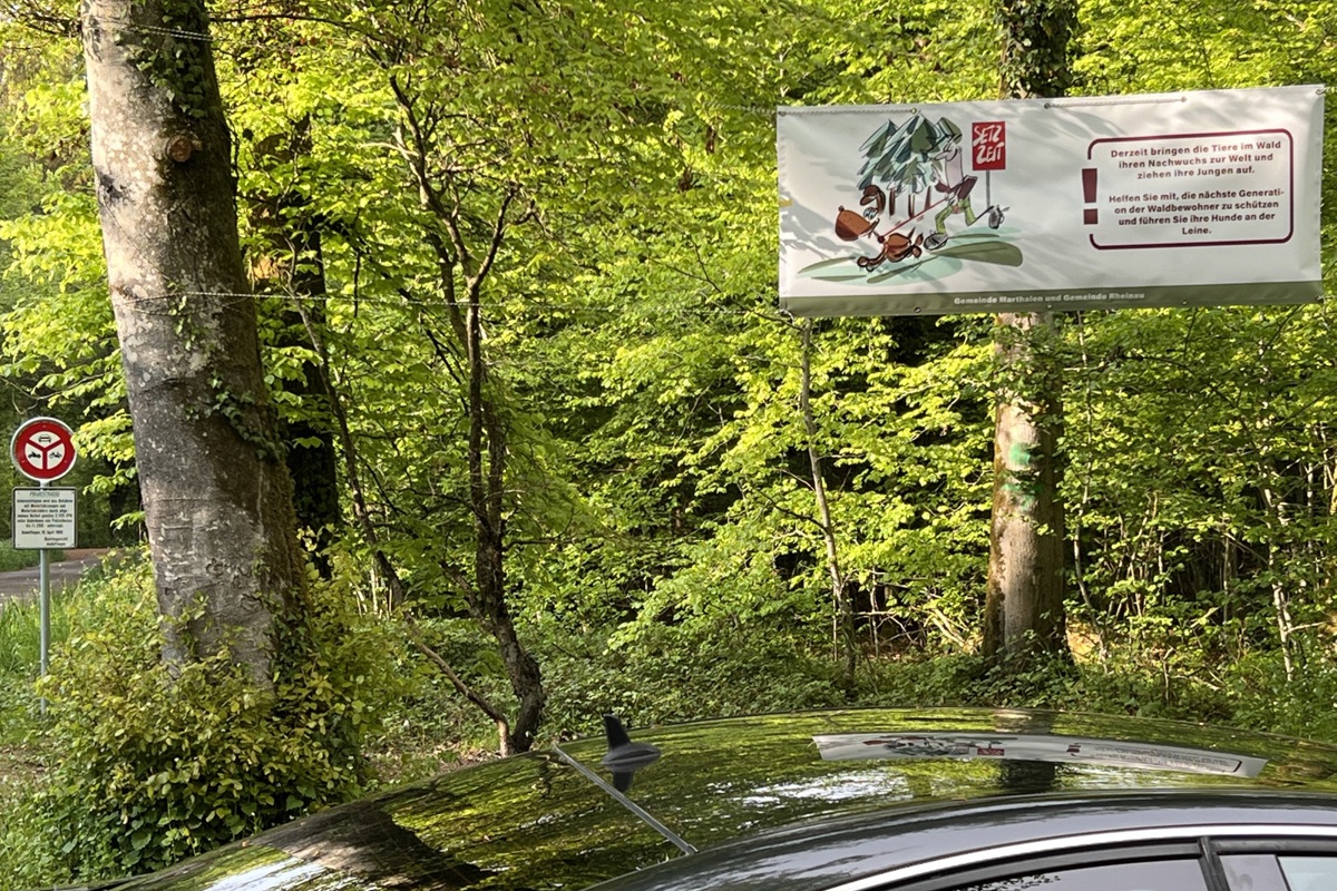 An neuralgischen Stellen in Rheinau und Marthalen hängen Plakate.
