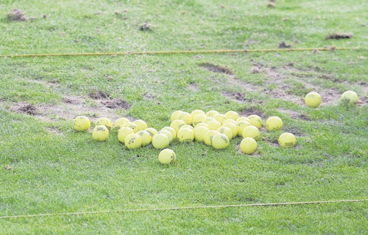 Ein Ball nach dem anderen flog in hohem Bogen weg, bis der Rasen übersät von gelben Punkten war.