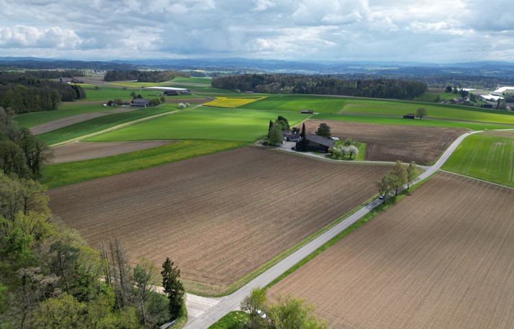 Zwischen dem Wald und den Siedlungen Steighof (vorne) und Eichhof (hinten) könnten laut Kanton 600'000 Kubikmeter Bauschutt deponiert werden. Rechts am Rand ist der Kirchturm von Trüllikon zu erkennen.
