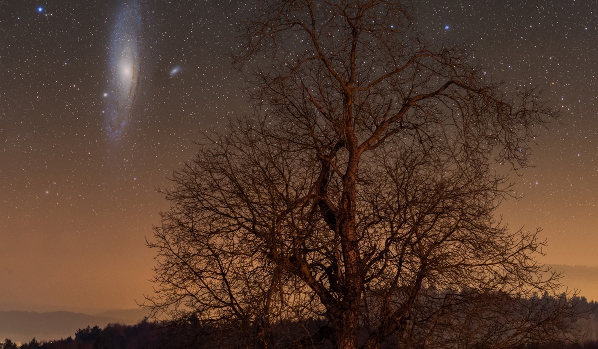 2_andromeda-galaxie2.jpg (1) 2_andromeda-galaxie2.jpg (1)