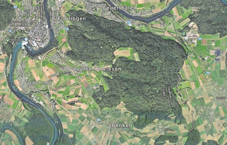 Noch ist der Cholfirst, auch Kohlfirst, auf Zürcher Gebiet auf zwei Forstreviere aufgeteilt.