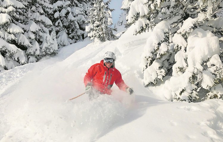 Im winterlichen Pulverschnee fühlt sich der Skiclub Dachsen seit 75 Jahren wohl.