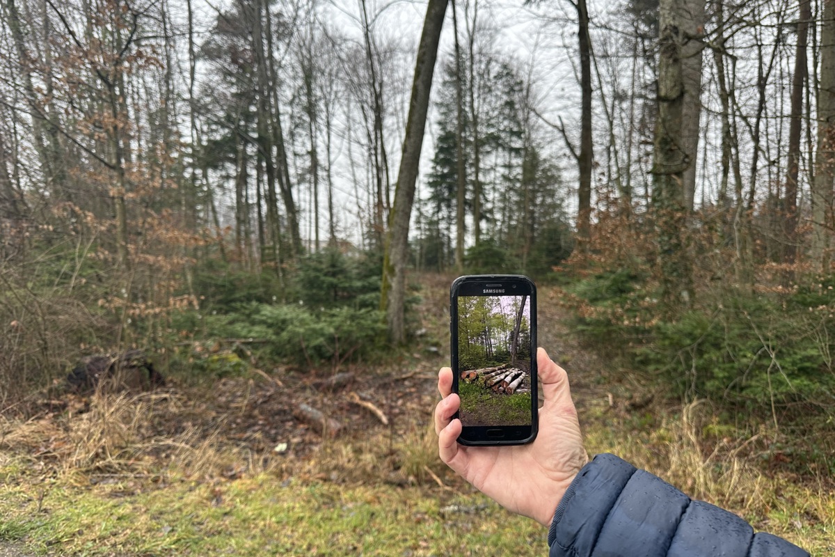 Am Tatort weisen praktisch keine Spuren auf die Abräumaktion hin. Am Tatort weisen praktisch keine Spuren auf die Abräumaktion hin.