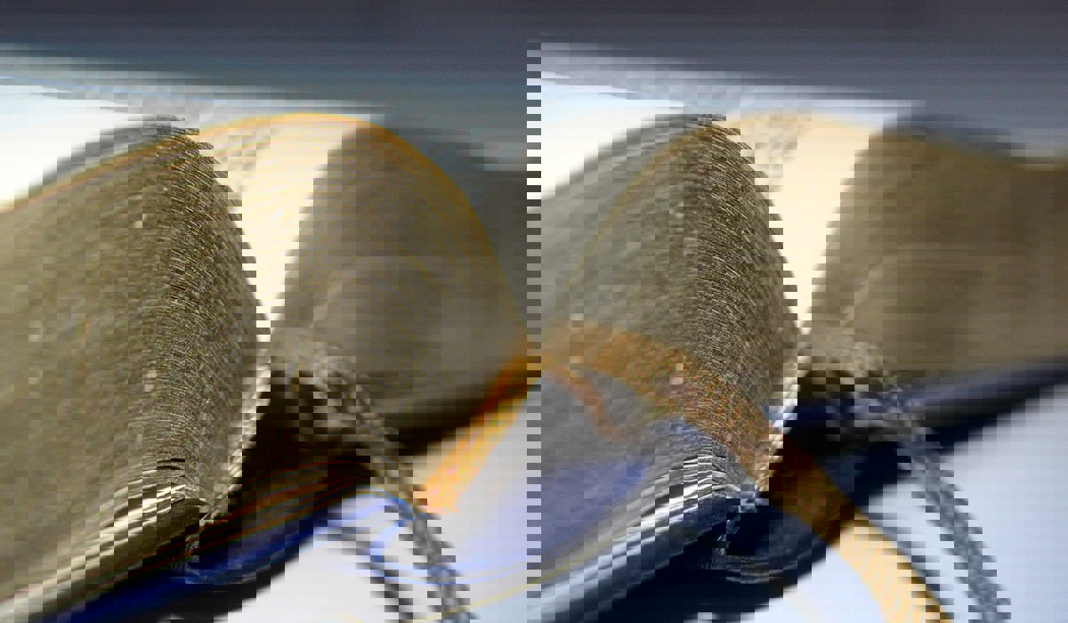 2003_buchtipps_pixeliode-lupo.jpg 2003_buchtipps_pixeliode-lupo.jpg