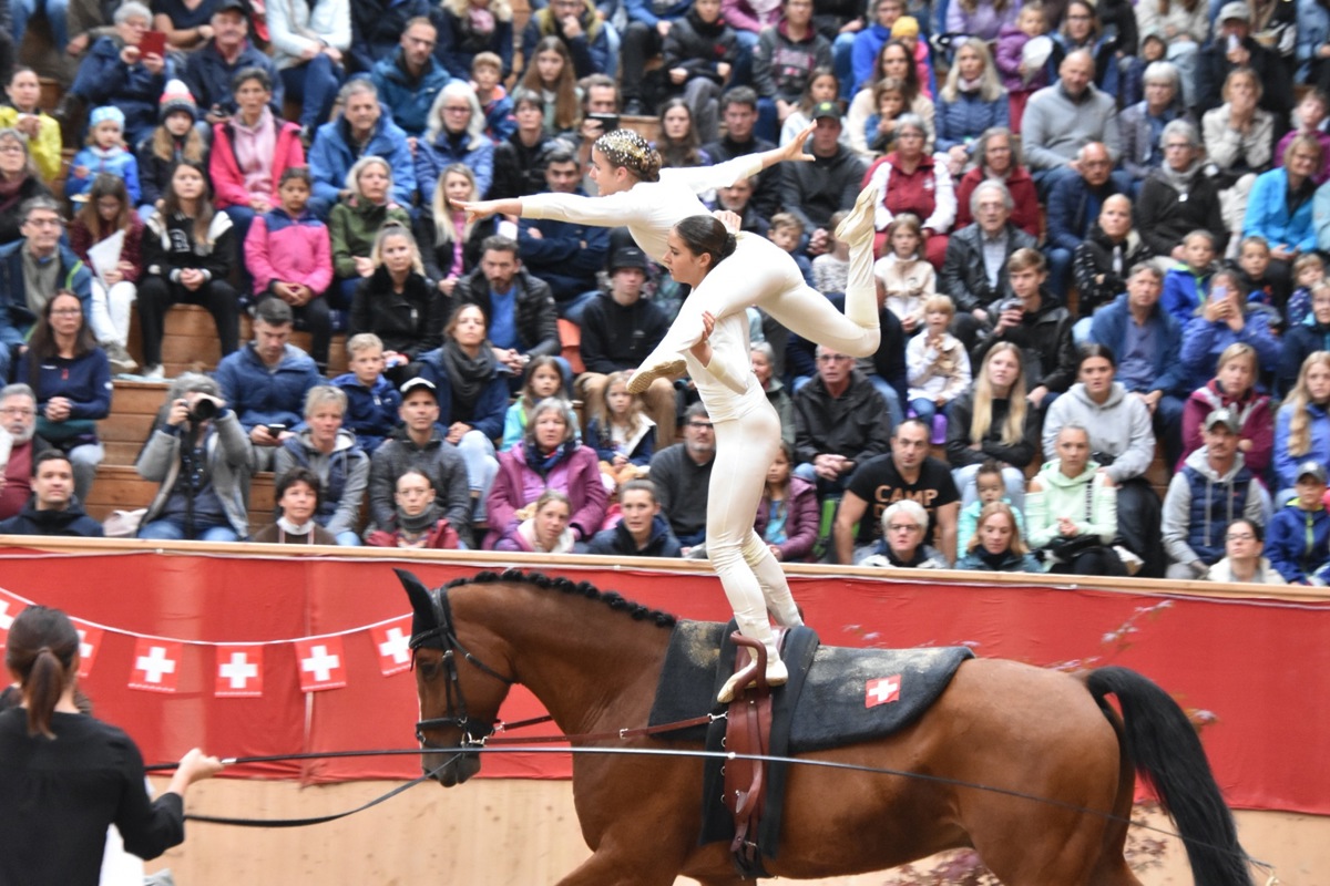 Das Pas de Deux gewann erneut Gold und verteidigte so seinen Schweizer Meistertitel.